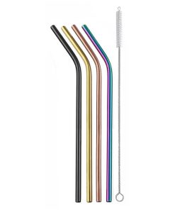 Stainless Reusable Straws - Set of 4